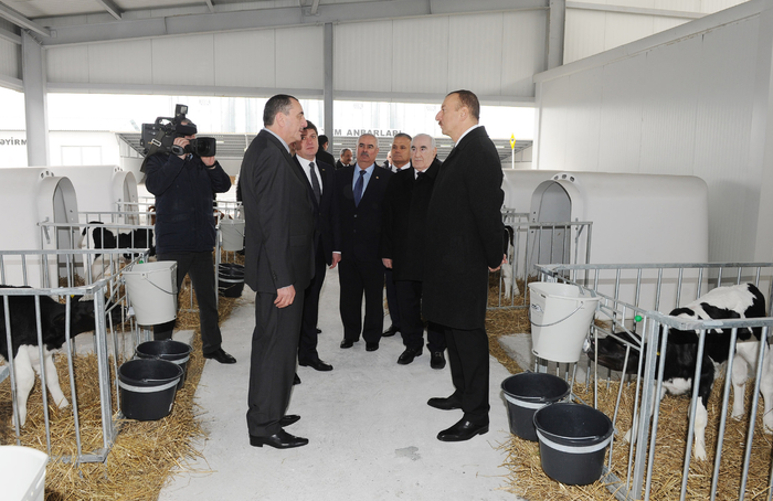 President Ilham Aliyev inaugurates cattle breeding and milk processing complex in Gabala (PHOTO)