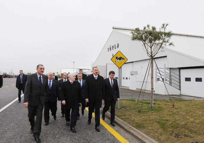 President Ilham Aliyev inaugurates cattle breeding and milk processing complex in Gabala (PHOTO)