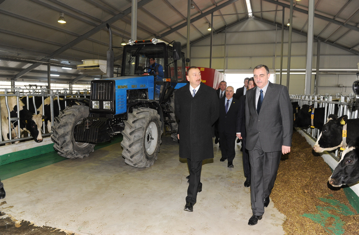 President Ilham Aliyev inaugurates cattle breeding and milk processing complex in Gabala (PHOTO)