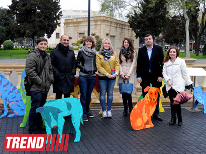 YARAT! presents project by Russian artist and designer Natalya Pastuhova "Good Dog" (PHOTO)