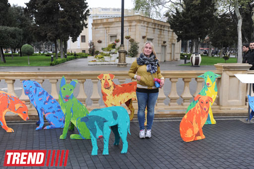 YARAT! presents project by Russian artist and designer Natalya Pastuhova "Good Dog" (PHOTO)