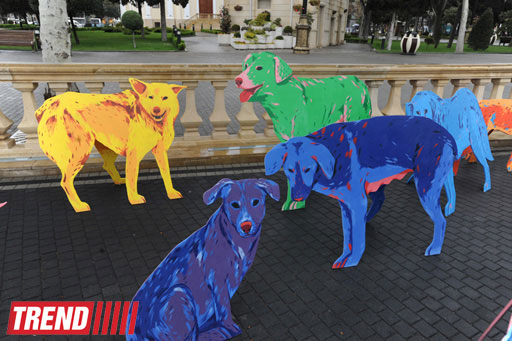 YARAT! presents project by Russian artist and designer Natalya Pastuhova "Good Dog" (PHOTO)