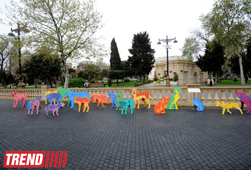 YARAT! presents project by Russian artist and designer Natalya Pastuhova "Good Dog" (PHOTO)