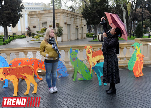 YARAT! presents project by Russian artist and designer Natalya Pastuhova "Good Dog" (PHOTO)