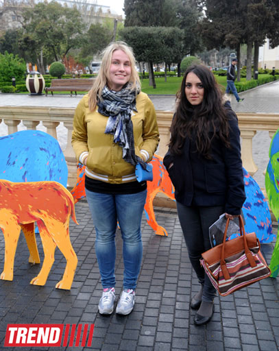 YARAT! presents project by Russian artist and designer Natalya Pastuhova "Good Dog" (PHOTO)