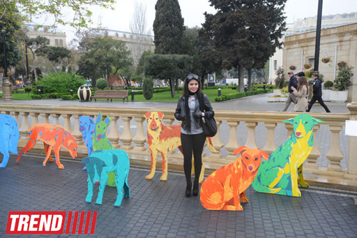 YARAT! presents project by Russian artist and designer Natalya Pastuhova "Good Dog" (PHOTO)
