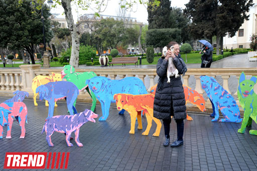 YARAT! presents project by Russian artist and designer Natalya Pastuhova "Good Dog" (PHOTO)