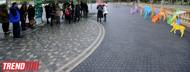 YARAT! presents project by Russian artist and designer Natalya Pastuhova "Good Dog" (PHOTO)