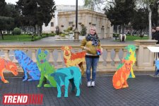 YARAT! presents project by Russian artist and designer Natalya Pastuhova "Good Dog" (PHOTO)