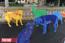 YARAT! presents project by Russian artist and designer Natalya Pastuhova "Good Dog" (PHOTO)