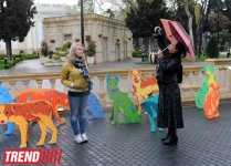 YARAT! presents project by Russian artist and designer Natalya Pastuhova "Good Dog" (PHOTO)
