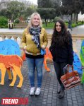 YARAT! presents project by Russian artist and designer Natalya Pastuhova "Good Dog" (PHOTO)