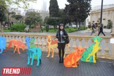 YARAT! presents project by Russian artist and designer Natalya Pastuhova "Good Dog" (PHOTO)
