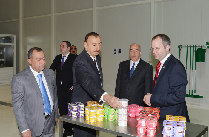 Azerbaijani President opens factories under AzFP CO LTD in Hokmali (PHOTO)