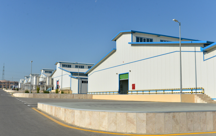 Azerbaijani President opens factories under AzFP CO LTD in Hokmali (PHOTO)