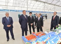 Modern greenhouse complex commissioned in Sabirabad District (PHOTO)