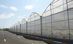 Modern greenhouse complex commissioned in Sabirabad District (PHOTO)