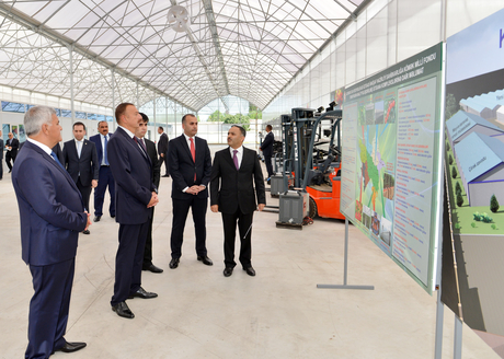 Modern greenhouse complex commissioned in Sabirabad District (PHOTO)