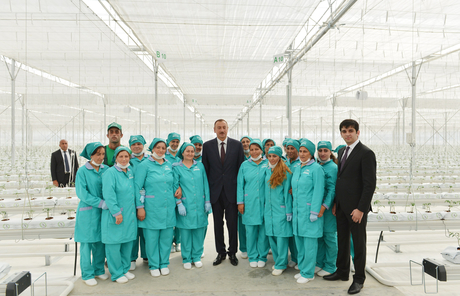 Modern greenhouse complex commissioned in Sabirabad District (PHOTO)