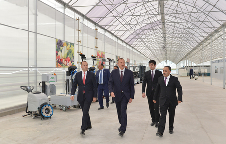 Modern greenhouse complex commissioned in Sabirabad District (PHOTO)