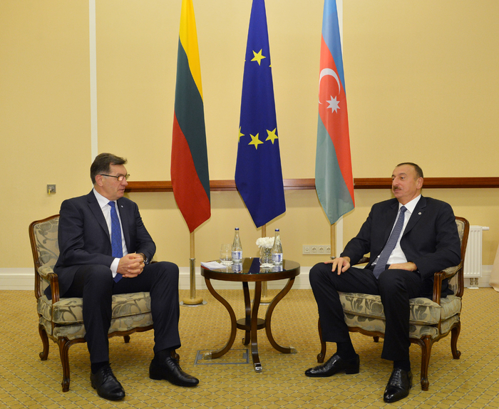 President Ilham Aliyev meets Lithuanian Premier (PHOTO)