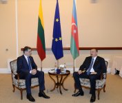 President Ilham Aliyev meets Lithuanian Premier (PHOTO)