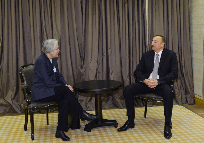 Azerbaijani President meets member of HP Board of Directors (PHOTO)