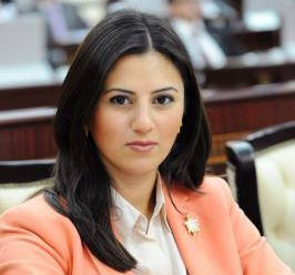 Azerbaijani MP re-elected general rapporteur on children at PACE committee