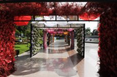 Azerbaijani president, his spouse attend Flower Festival in Baku (PHOTO)