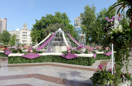 Azerbaijani president, his spouse attend Flower Festival in Baku (PHOTO)