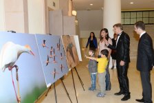 Leyla Aliyeva attends presentation ceremony of “Shirvan National Park” film