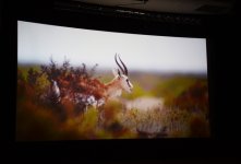 Leyla Aliyeva attends presentation ceremony of “Shirvan National Park” film