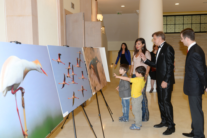 Leyla Aliyeva attends presentation ceremony of “Shirvan National Park” film