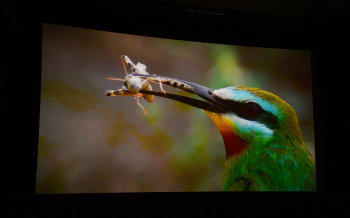 Leyla Aliyeva attends presentation ceremony of “Shirvan National Park” film