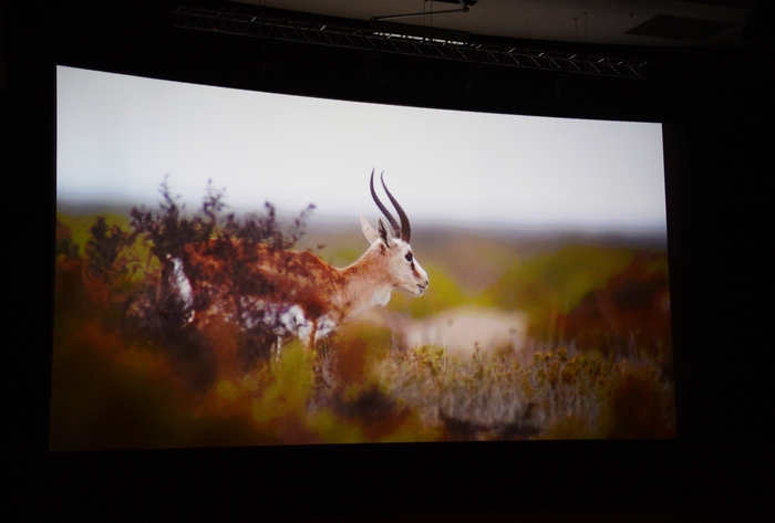 Leyla Aliyeva attends presentation ceremony of “Shirvan National Park” film