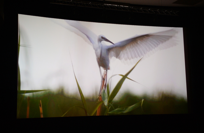Leyla Aliyeva attends presentation ceremony of “Shirvan National Park” film