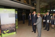 Azerbaijani president meets with FAO director general in Rome