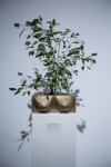 Afghan artist Reza Hazare’s sole exhibition entitled Anesthesia, opens at YAY Gallery