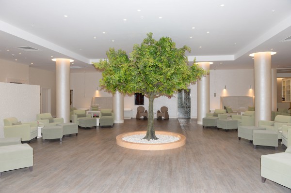 President Aliyev, first lady open “Qarabağ SPA & Resort” hotel complex in Naftalan (PHOTO)