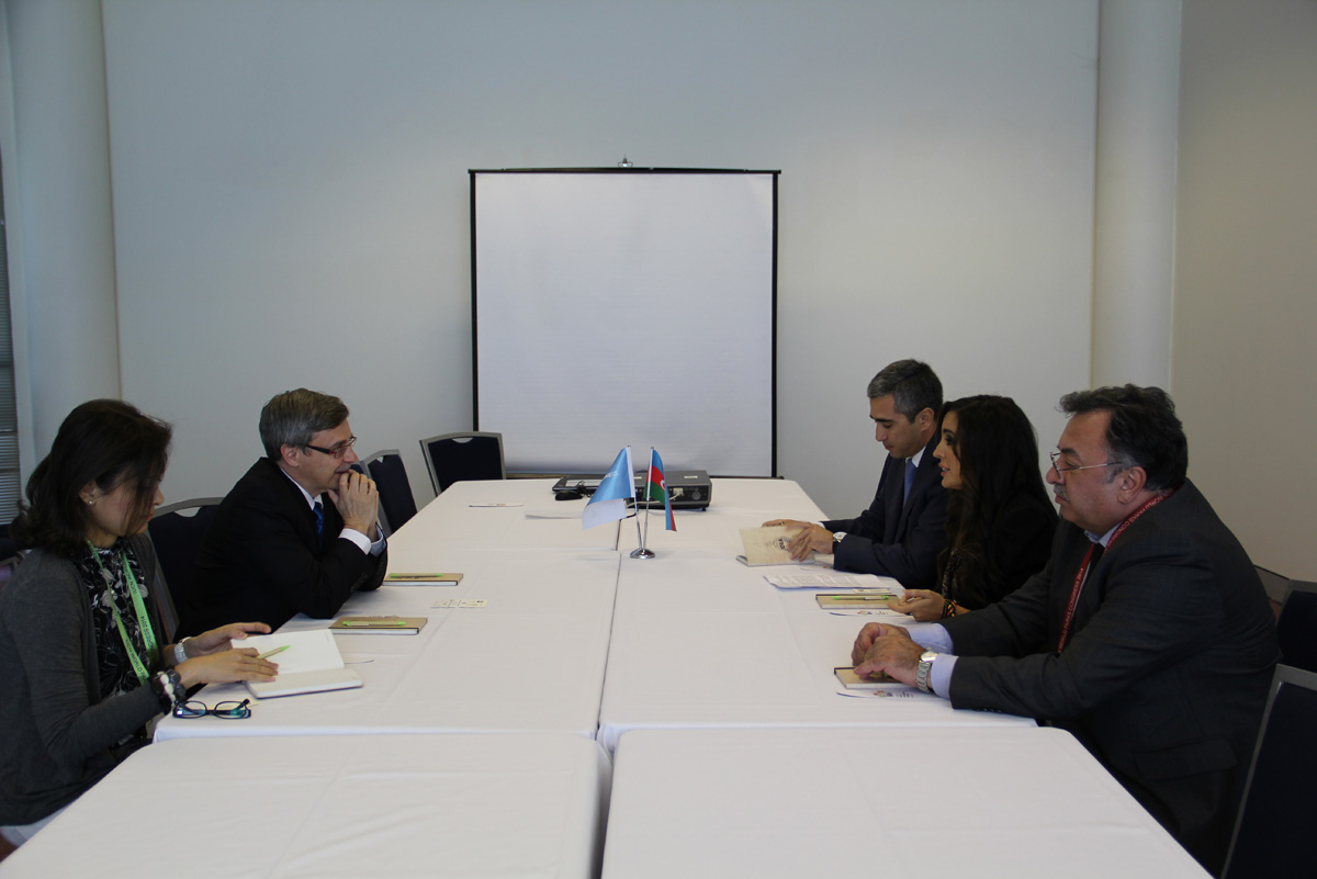 Vice-President of Heydar Aliyev Foundation addresses IUCN World Parks Congress (PHOTO)