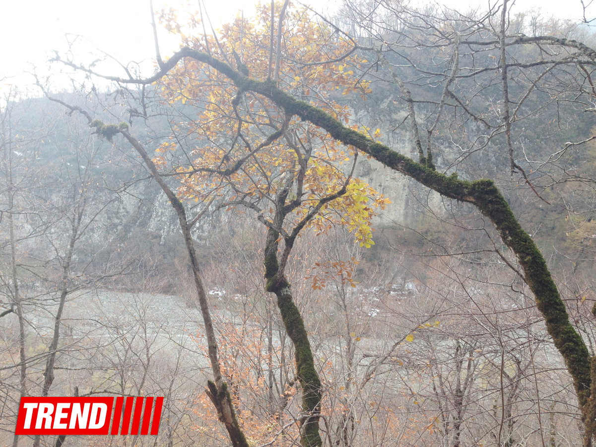 Unexplored Azerbaijan: "Castle of forty maidens" - Harem of Shirvan khans (PHOTO)