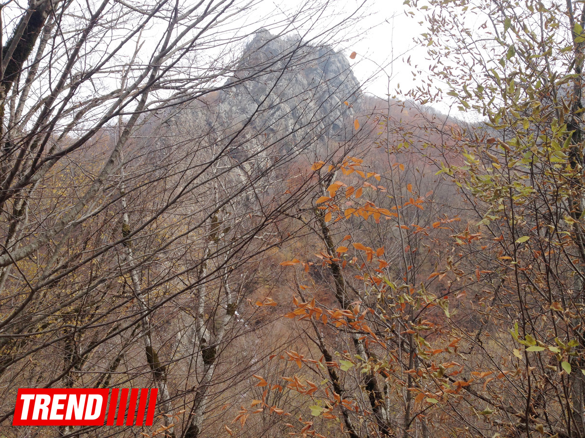 Unexplored Azerbaijan: "Castle of forty maidens" - Harem of Shirvan khans (PHOTO)