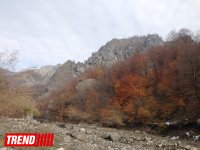 Unexplored Azerbaijan: "Castle of forty maidens" - Harem of Shirvan khans (PHOTO)