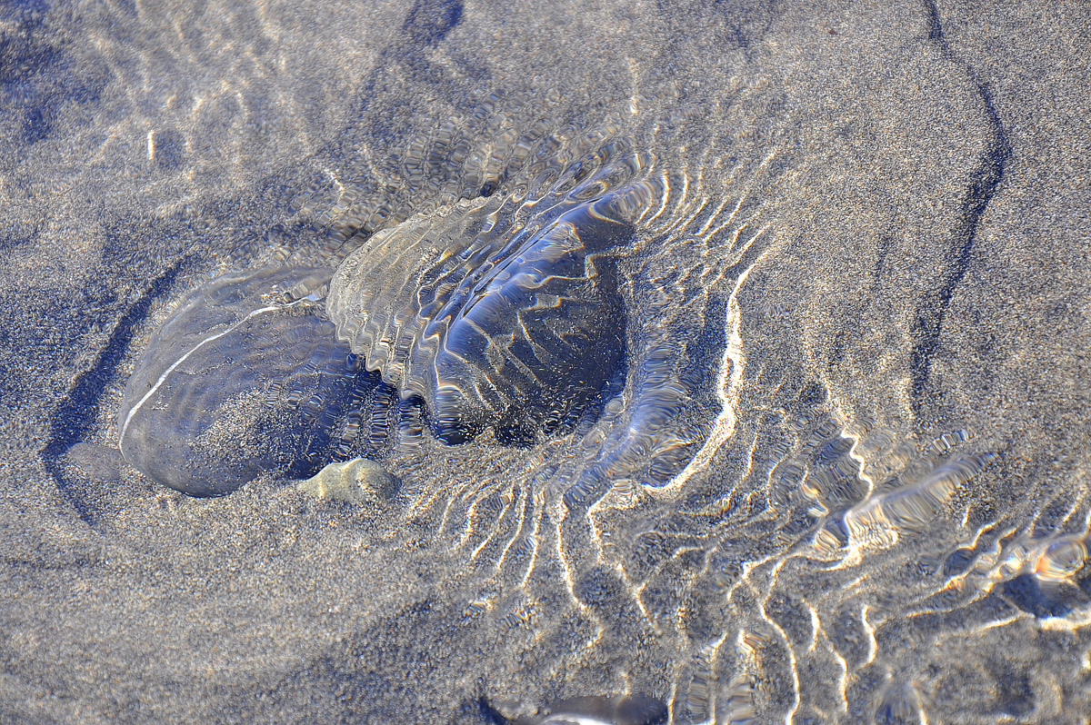 BAKU 2015: Sun, sea, beaches, waves and sunset (PHOTO)