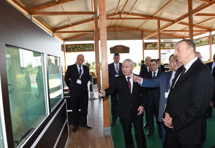 Azerbaijani president observes two exhibitions in Baku (PHOTO)