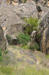 Gobustan - witness of ancient history of Azerbaijan (PHOTO)