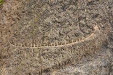 Gobustan - witness of ancient history of Azerbaijan (PHOTO)