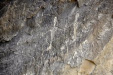 Gobustan - witness of ancient history of Azerbaijan (PHOTO)