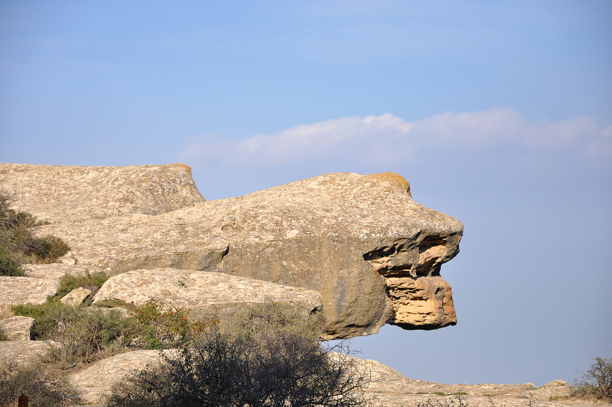Gobustan - witness of ancient history of Azerbaijan (PHOTO)