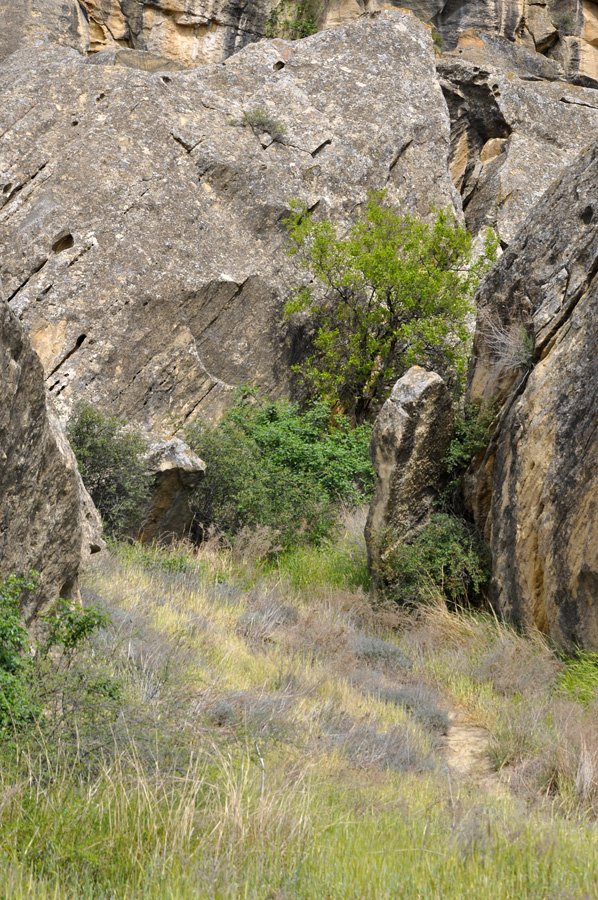 Gobustan - witness of ancient history of Azerbaijan (PHOTO)